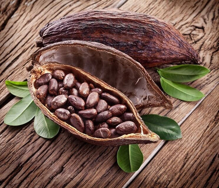 ABOUT THE CACAO TREE