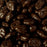 Dark Chocolate Pecans Gift Tin 16 0z - Chocolate.org