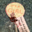 It's a Girl Lollipop Favor 12 Pieces - Chocolate.org